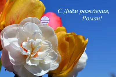 Открытка интересная открытка с днем рождения роман - поздравляйте бесплатно  на otkritochka.net
