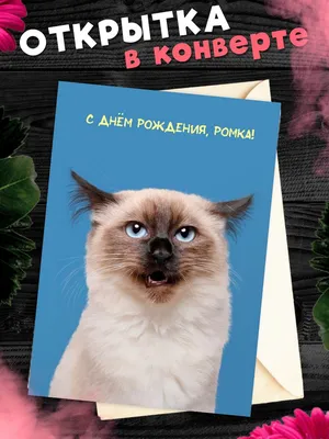 Поздравительная открытка с днем рождения для Романа - поздравляйте  бесплатно на otkritochka.net