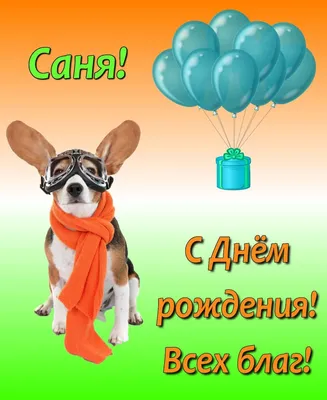 С днём рождения, Саша! 🎂 Сегодня день рождения отмечает экс-игрок нашей  команды - Александр Лепилов! 🎉 .. | ВКонтакте