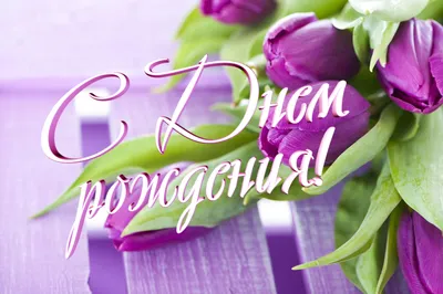 Поздравляем с Днём Рождения Светлану Владимировну! - Агентство культуры и  искусства