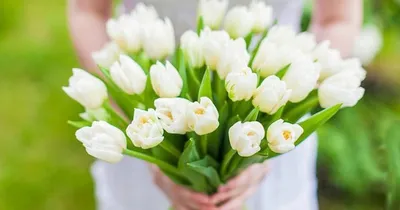 Розовые тюльпаны и письма золота с днем рождения на белой задней части  мрамора Стоковое Фото - изображение насчитывающей минимально, празднично:  116824552