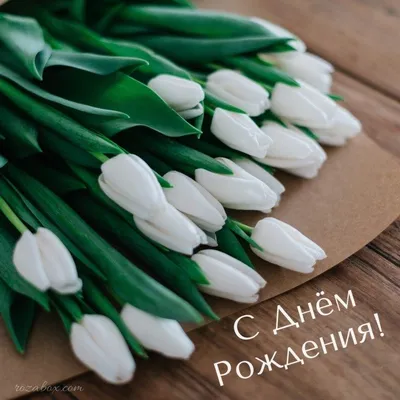 открытка с тюльпанами с днем рождения | С днем рождения, Цветы на рождение,  Белые тюльпаны