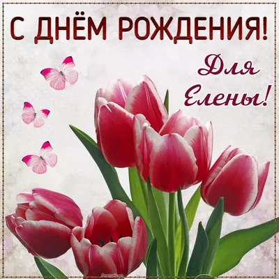 С днем рождения красивые открытки тюльпаны - 87 фото