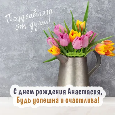 Красивые открытки с днем рождения с ТЮЛЬПАНАМИ 🌷💐 (105 шт.)