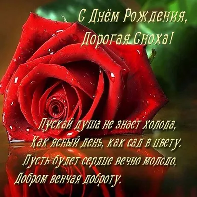 100 картинок С днём рождения жене