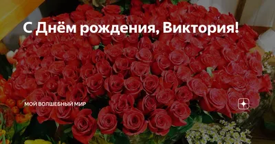 Виктория, Вичка, с днем рождения! - Форум Дачный ответ Галактики