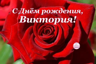 Summer Studio: С днём рождения - Виктория))