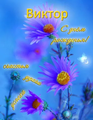 С днем рождения Виктор Александрович! - KP.RU