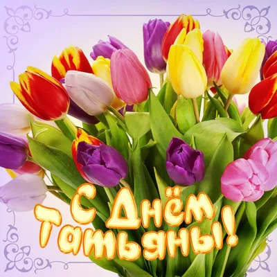 Подарить прикольную открытку с днем Татьяны онлайн - С любовью,  Mine-Chips.ru