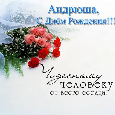 С Днем рождения, Андрей Николаевич!