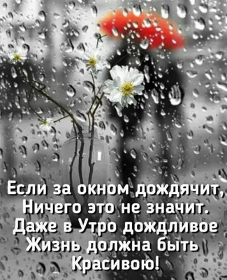 Лучшие идеи (11) доски «Дождливое утро» | дождливое утро, счастливые  картинки, осенние картинки