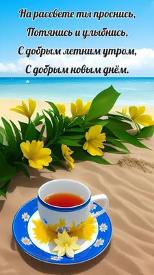 ☀️🌴😄 Картинки с добрым летним утром - скачать (245 шт.)