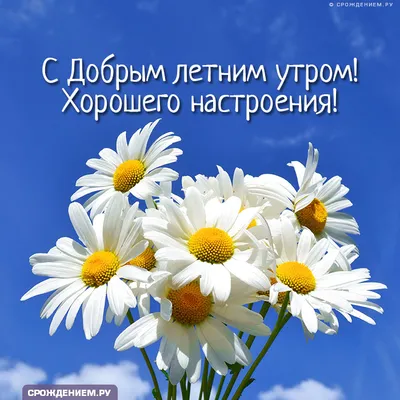 Картинка: Привет, это я! С добрым летним утром! • Аудио от Путина,  голосовые, музыкальные