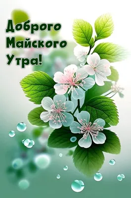 Открытки \"Доброго майского утра!\" (100+)