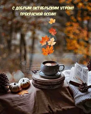 Доброе утро! Доброе октябрьское утро! Хорошего понедельника! Надпись на  русском языке, мотивация | Утро понедельника, Доброе утро, Осенние картинки