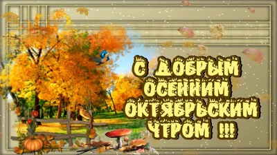 С первым октябрьским днём! Октябрь он такой красивый и коварный! ~ Открытка  (плейкаст)