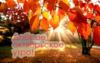 Открытки \"Доброе утро октябрь\" (1397 шт.)