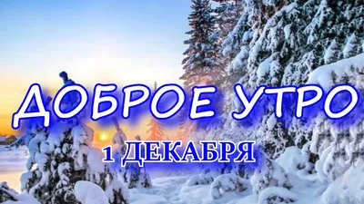 Доброго зимнего утра\" картинки красивые (75 штук)