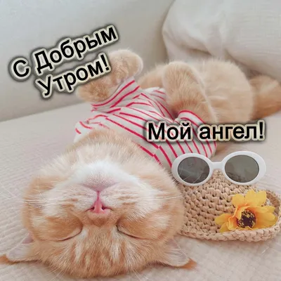 ❤️❤️❤️ Доброе утро, любимая ❤️❤️❤️ Самое красивое пожелание С ДОБРЫМ УТРОМ  для ЛЮБИМОЙ! - YouTube