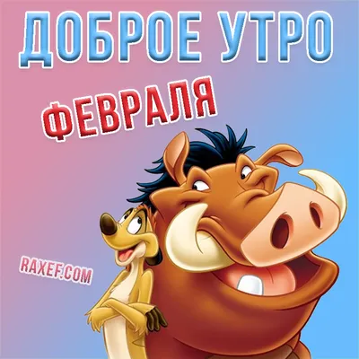 Красивые открытки \"Доброго утра!\" в феврале (66 шт.)