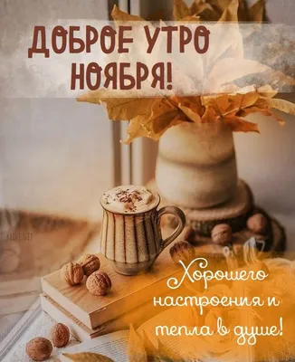 Доброе утро, 4 ноября!