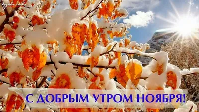 Гифки \"Доброе ноябрьское утро!\" (73 шт.)