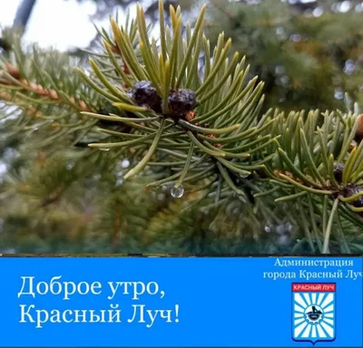 Картинки \"Доброго утра ноября!\" (101 шт.)