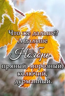 С добрым утром ноября! Пусть не …» — создано в Шедевруме