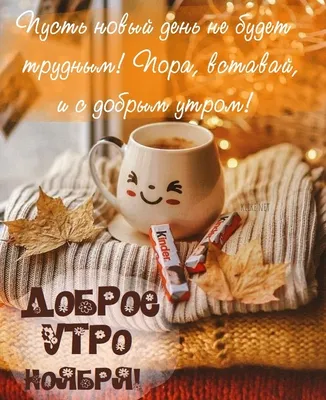 Доброе утро Ноября! 03.11.2022 🌹☕🍁❤️🍂💖 | Доброе утро, Осенние картинки,  Веселые картинки