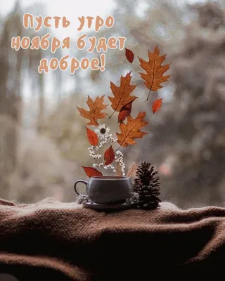 Добрые пожелания 💞 Открытки | ❄️ Доброе морозное утро ноября ☕ Хорошего  Счастливого дня 💕 | Дзен