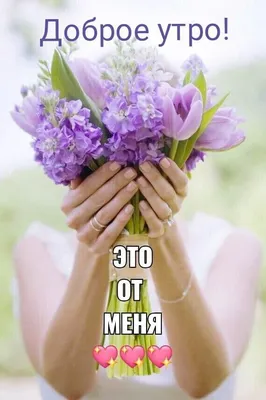 Pin by Татьяна on доброе утро!!! | Good morning, Words of wisdom, Plants