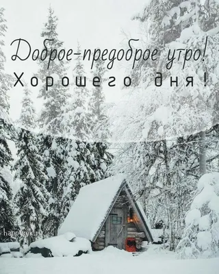 Картинки С добрым зимним утром с пожеланиями. 60 интересных открыток. |  Новогодние цитаты, Зимние цитаты, Счастливые картинки