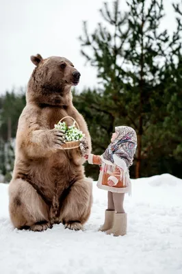 Изображение С медведем степаном в зоопарке - яркие фото в webp