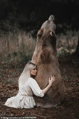Изображение С медведем степаном и его дружба с человеком - фото в webp