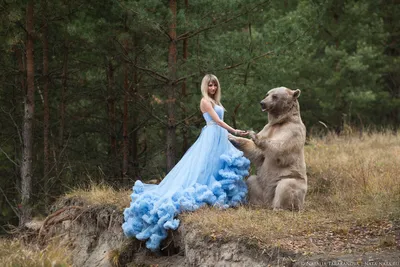 Фото С медведем степаном с возможностью скачать в разных размерах - удобства пользователя