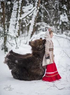Изображение С медведем степаном и его любовь к мороженому - фото в webp