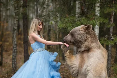 Медведь Степан на заднем плане заката - атмосферные фотографии в jpg