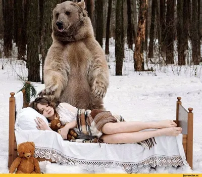 Фото С медведем степаном с вкусным медом - сладкий момент на снимках