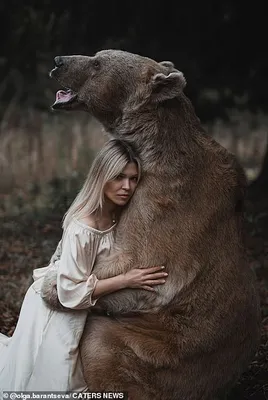 Фото С медведем степаном - лучшие снимки в формате jpg
