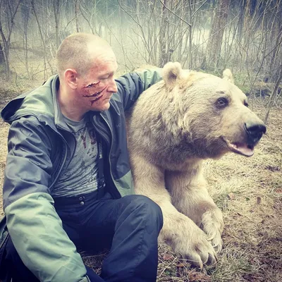 Изображение С медведем степаном и его игра с мячом - развлекательные фото в webp