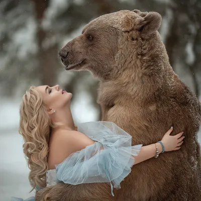 Изображение С медведем степаном - качественные фото в webp