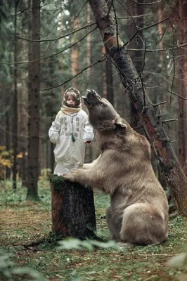 Фото С медведем степаном на фоне гор - потрясающие виды