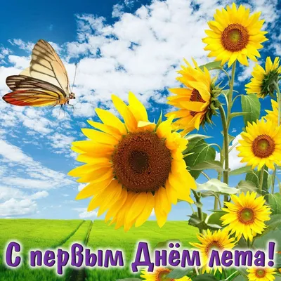 Поздравляем с началом лета и Днем защиты детей! - ЦДТ №4