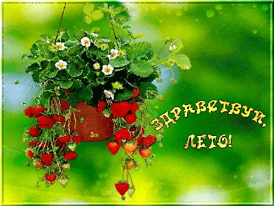Поздравления с началом лета 1 июня 2018г. - Живые открытки для любого  праздника в 2018 году | Emo, Mmo, Ems