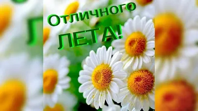 Открытки открытки первый день летапервое июня начало летас первым днём лета