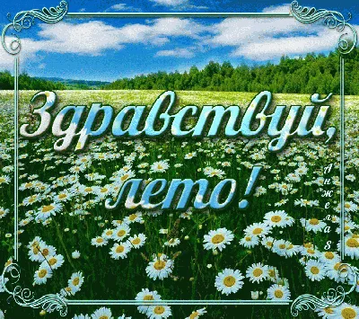 Картина цветы холст масло \"Начало лета\" в интернет-магазине Ярмарка  Мастеров по цене 6000 ₽ – LPFEARU | Картины, Новосибирск - доставка по  России