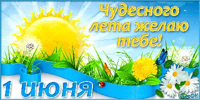 Фотообои бумажные 291х272 см Начало лета Х5 ПРЕМИУМ 12 л купить недорого в  интернет-магазине товаров для декора Бауцентр