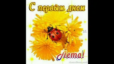 Всех с началом лета | АкваВит | Дзен