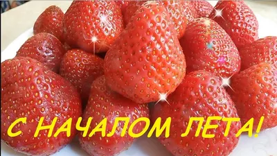 СЛОВА ЖИЗНИ - С началом лета и днем защиты детей! Дай Бог... | Facebook