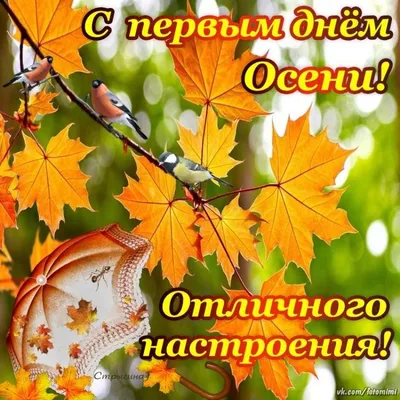 Открытки времена года с началом осени...